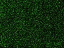 Dekoratif Yeşil | Çim Halı | Associated Carpets
